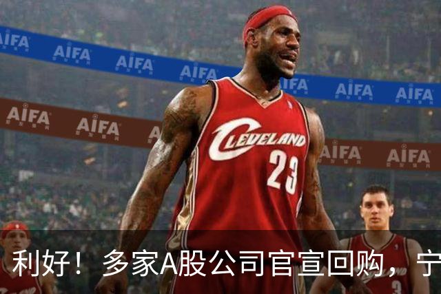 利好！多家A股公司官宣回购，宁德时代单日买入8亿元
