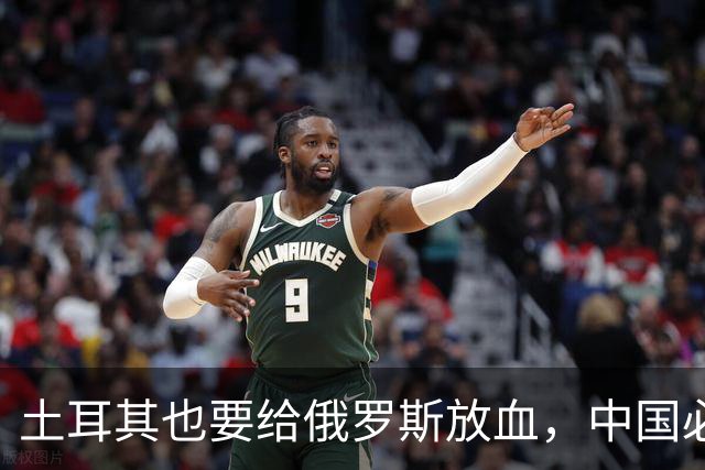 土耳其也要给俄罗斯放血，中国必须吸取教训，台海一战绝不能久拖