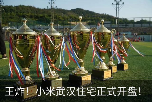 王炸！小米武汉住宅正式开盘！
