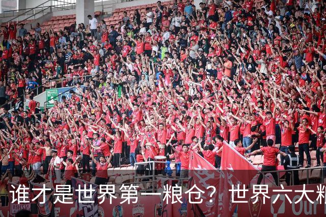 谁才是世界第一粮仓？世界六大粮食生产国，都有谁？